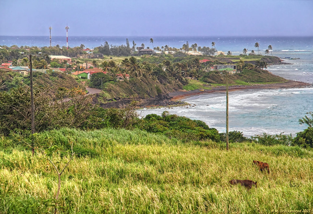 Exploring Dieppe Bay: A Hidden Gem in Northern Saint Kitts
